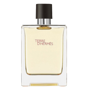 Hermes Terre d'Hermès тоалетна вода за мъже 100 ml